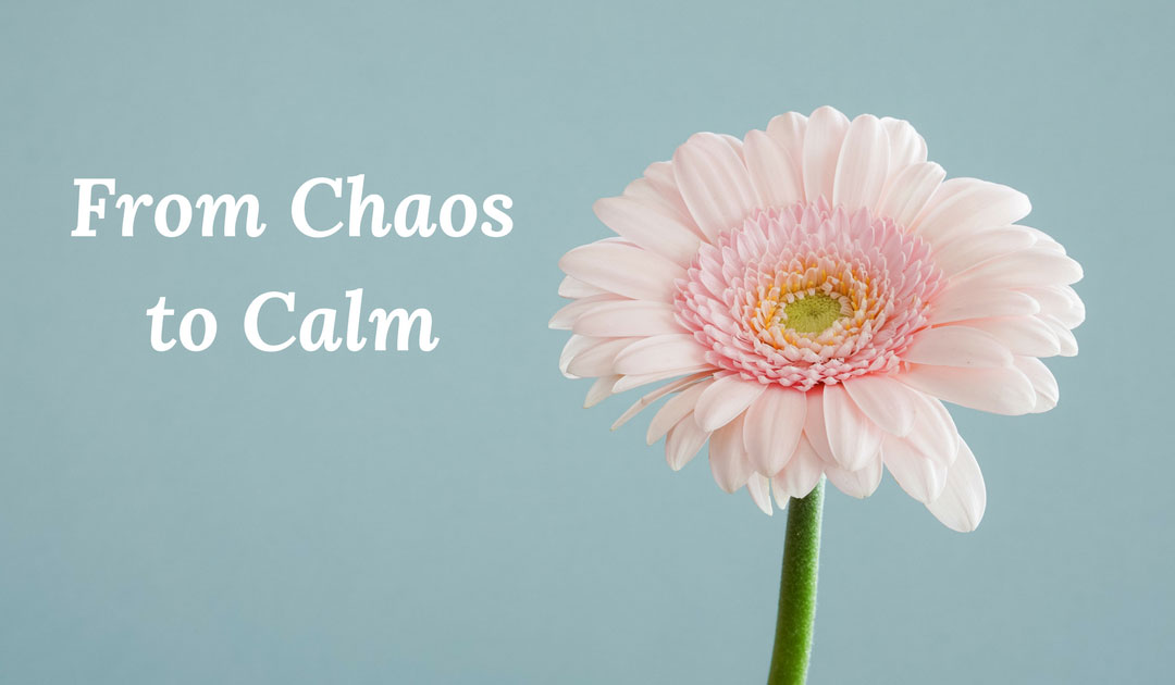 Bringing Calm to Chaos – 10 Tips to Lessen Anxiety